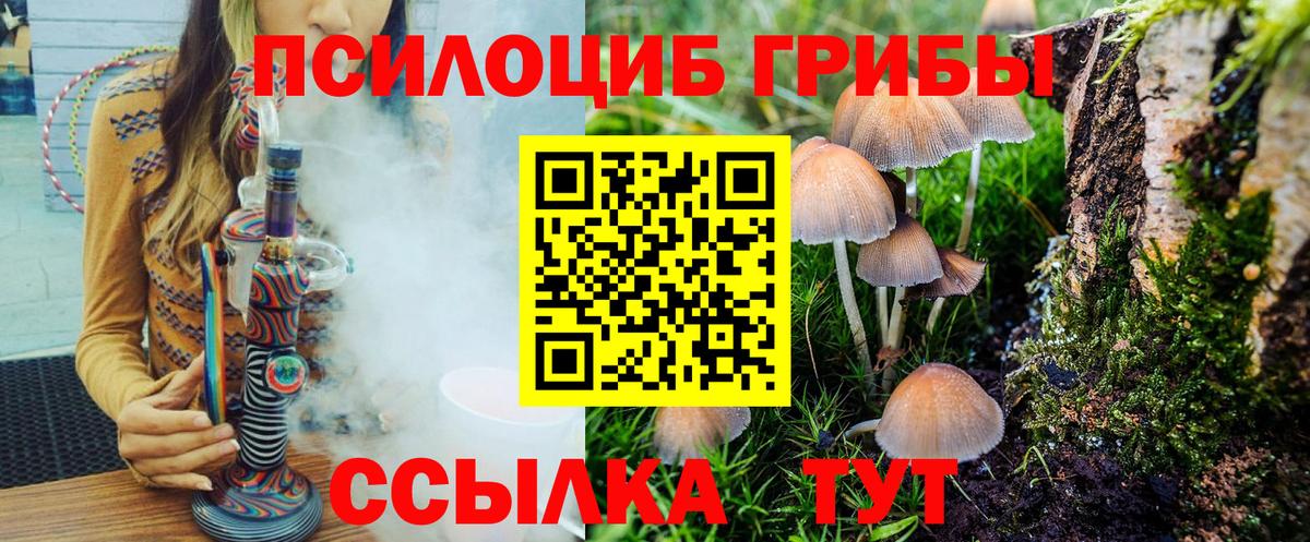 Галлюциногенные грибы Magic Shrooms  Псилоцибиновые грибы мицелий  Знаменск  Вход с VPN 